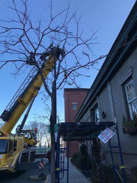 Crane used in Boston, MA, to replace a rooftop condenser unit on a parapet roof.