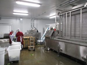 Chiller Plate Installation for Produce Processing Company in Chelsea, MA