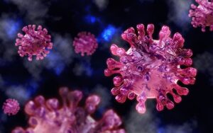 3D illustration of several pink and purple coronavirus particles with spike proteins, depicted against a dark, blurred background.
