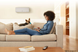 Woman sitting on a beige sofa using a tablet, with a small dog next to her; a remote and books are on the table, and an air conditioner is mounted on the wall.